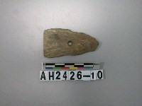 藏品(穿孔石矛)的圖片